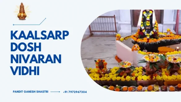 Kaalsarp dosh nivaran vidhi