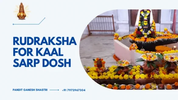Rudraksha for kaal sarp dosh