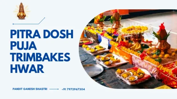 Pitra dosh puja trimbakeshwar